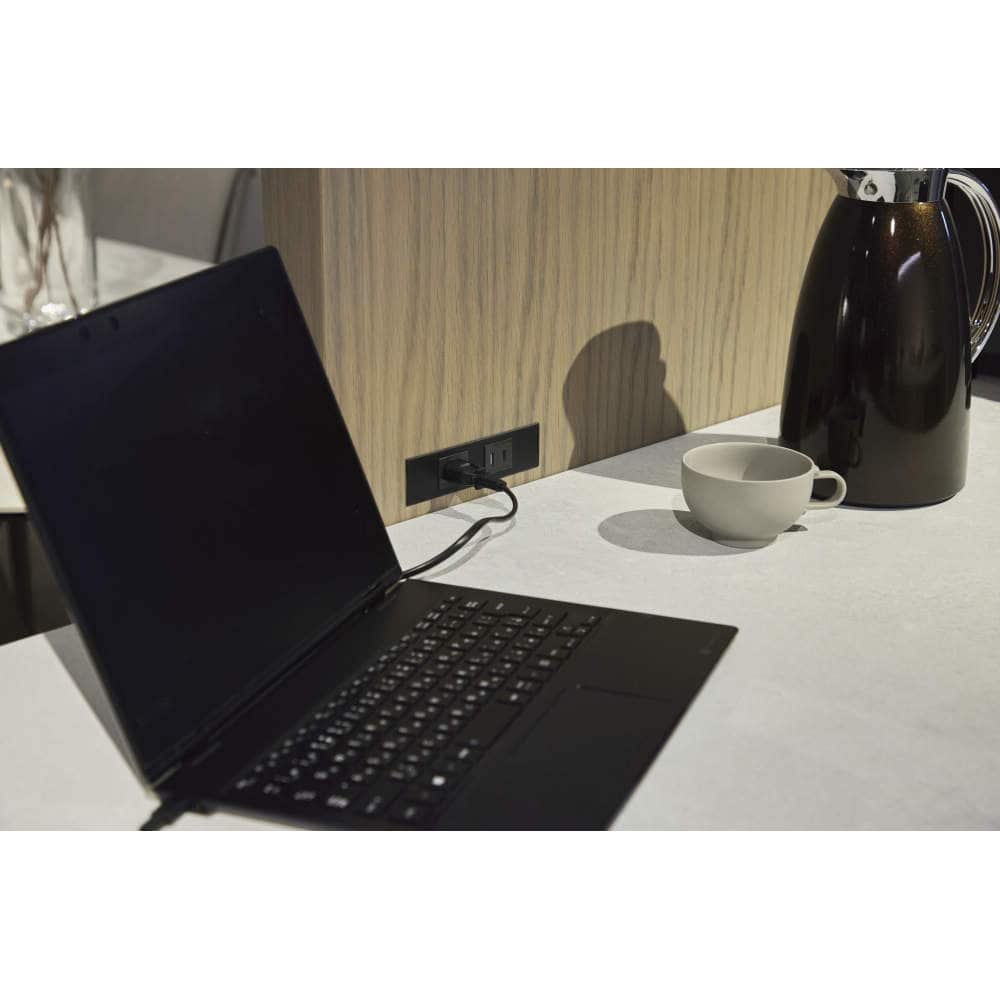 コンセントプレート DMFH-EA型 掘込仕様