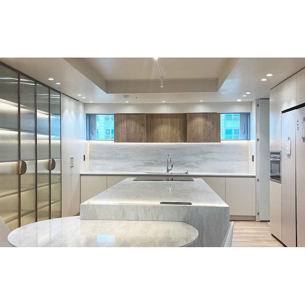 キッチン・ダイニング モノフラット リンクスヒンジ LIN-X450型 アーム式フラットドア