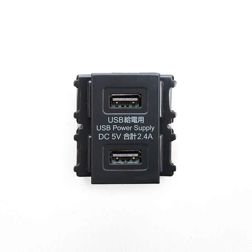 埋込充電用USBコンセント DM2-U2P2型 2ポートタイプ 【スガツネ工業】
