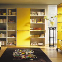 写真はB25H-FSです。1枚引戸を構成します。