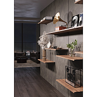 �E�H�[���f�B�X�v���C�V�X�e��